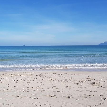 Ideal Property Mallorca - Mary 阿尔库迪亚港 外观 照片