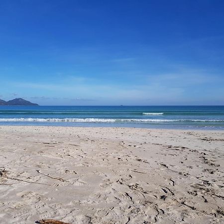 Ideal Property Mallorca - Mary 阿尔库迪亚港 外观 照片